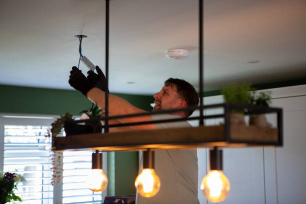Best Electric Panel Repair  in Oglethorpe, GA