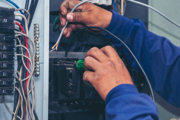 Best Home Electrical Repair  in Oglethorpe, GA